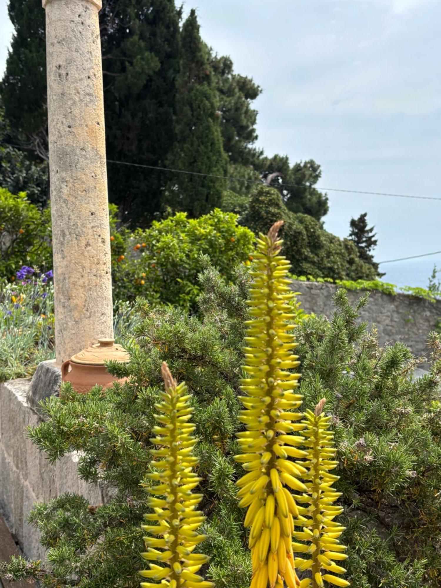 Villa Anica Dubrovnik - Luxurious With A Sea View Exterior foto
